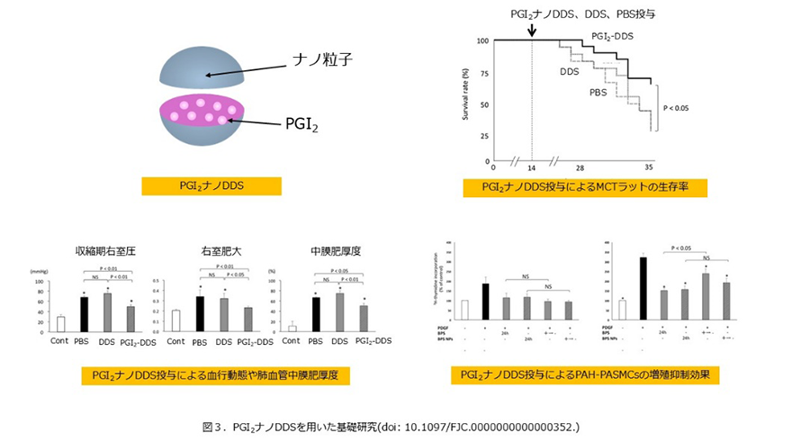 図3.PGI2ナノDDSを用いた基礎研究(doi:10.1097/FJC.000000000000352.)